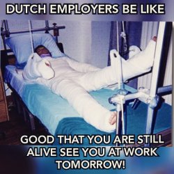 DUTCH EMPLOYERS BE LIKE Meme Template