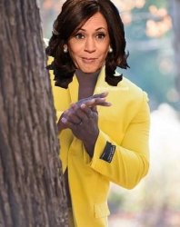 Kamala behind a tree Meme Template