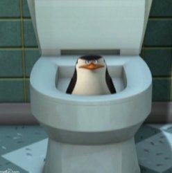 skipper and the toilet Meme Template