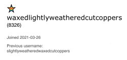 waxedlightlyweatheredcopperstairs’ announcement template Meme Template