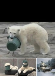 Russian Bear Meme Template