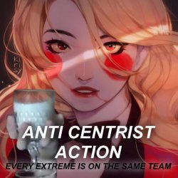 Anti Centrist Action Meme Template