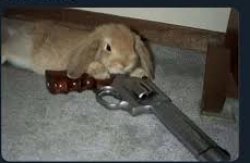 bunny gun Meme Template
