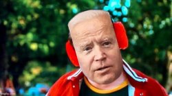 Have you seen my baseball Joe Biden Meme Template