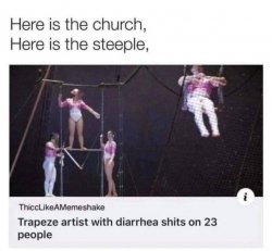 Trapeze artist with diarrhea Meme Template
