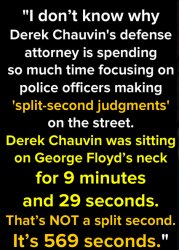 George Floyd Derek Chauvin trial Meme Template