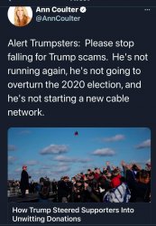 Ann Coulter Trump scams Meme Template