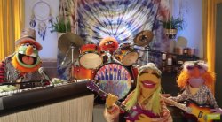 Doctor Teeth And The Electric Mayhem Meme Template