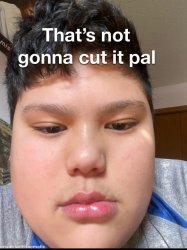 Thats not gonna cut it pal Meme Template