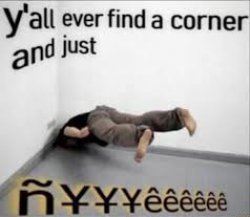Fine a corner and just Meme Template