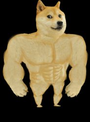 swole doge Meme Template