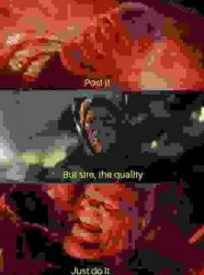 post it, but sire, the quality, just do it Meme Template