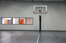 Basketball Hoop Meme Template