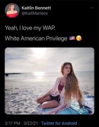 WAP White American Privilege Meme Template