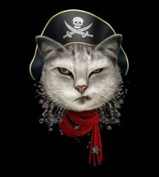 pirate chain cat ARRR Meme Template