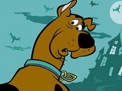 Scooby Doo Huh? Meme Template