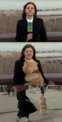 Dog steals mic Meme Template