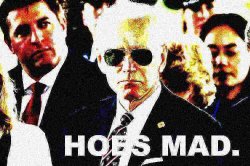 Joe Biden hoes mad deep-fried 1 Meme Template