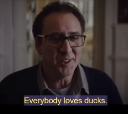 EVERYBODY LOVES DUCKS COLOUR OF SPACE NIC CAGE Meme Template