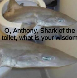 Anthony, Shark of the Toilet Meme Template
