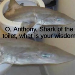 Anthony, Shark of the Toilet Meme Template