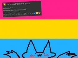 YourLocalPanFurry Announcement Temp :3 Meme Template
