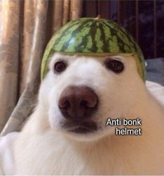 Anti bonk helmet Meme Template