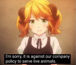 I'm sorry, it is against our company policy to serve live animal Meme Template