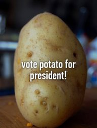 Potato for president Meme Template