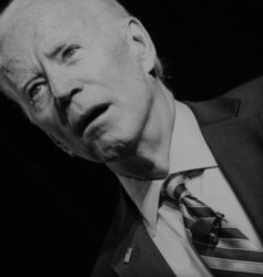 Unsettled Joe Biden black & white Meme Template