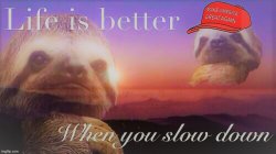 MAGA sloth life is better when you slow down Meme Template