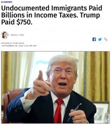 Trump paid $750 in taxes Meme Template