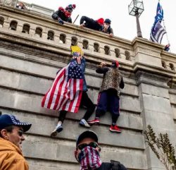 capitol hill wall climbers qanon maga trump Meme Template