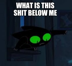 what is this shit below me Meme Template