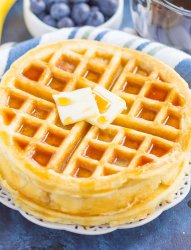 Waffles Meme Template