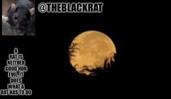 TheBlackRat announcement template Meme Template