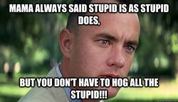 Forest Gump stupid is as stupid does, hog all Meme Template