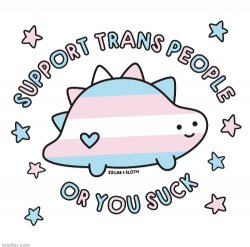 support trans people or you suck Meme Template