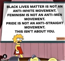 BLM is not an anti-white movement Meme Template