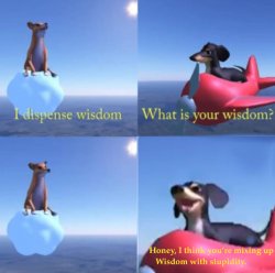 You’re mixing up wisdom with stupidity dog Meme Template