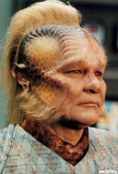 Neelix feels Meme Template