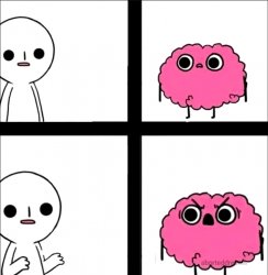 Brain Meme Template