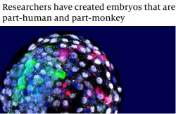 Humkey Embryo Meme Template