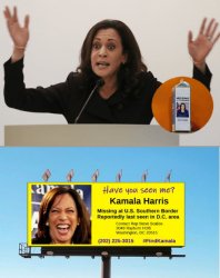 Kamala Harris Missing billboard Meme Template