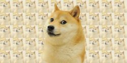 doge Meme Template