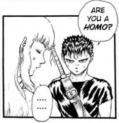 Are you homo? Meme Template