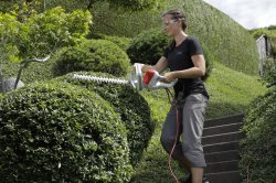 Woman With A Bush ?Trimmer 3 Meme Template