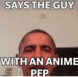 says the guy with the anime pfp Meme Template
