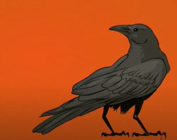 Mr.Crow Meme Template