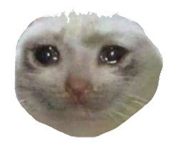 sad kitty face transparent Meme Template